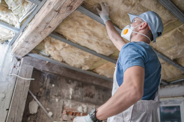 Best Insulation Installation Services in Baytown, TX