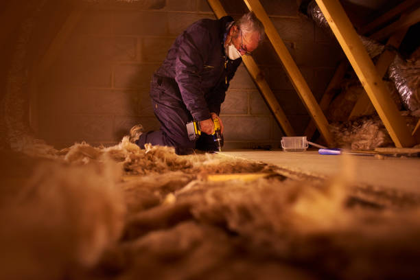 Best Insulation Maintenance and Repair in Baytown, TX